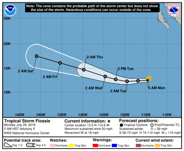 Tropical Storms Erick and Flossie Form in the Eastern Pacific; Both ...
